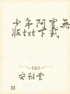 少年阿宾无删减版txt下载