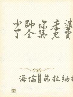 少帅你老婆又跑了全集免费播放