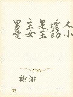 男主是坏人但很爱女主的小说