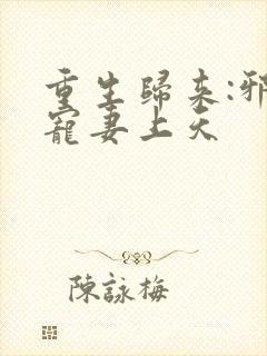 重生归来:邪王宠妻上天