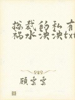 总裁的私有宝贝祸水泱泱txt下载