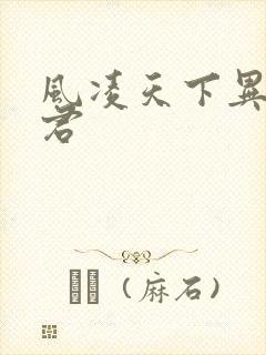 风凌天下异世邪君