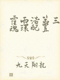 霍雨浩第三武魂魂环配置