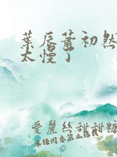 叶辰萧初然更新太慢了