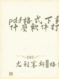 pdf格式下载什么软件打开