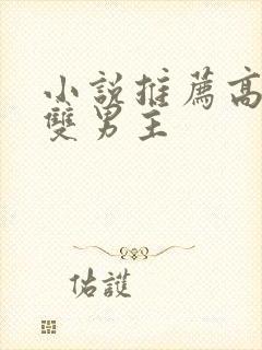 小说推荐高质量双男主