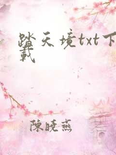 踏天境txt下载