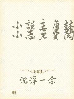 小说主角林姨,小志免费阅读