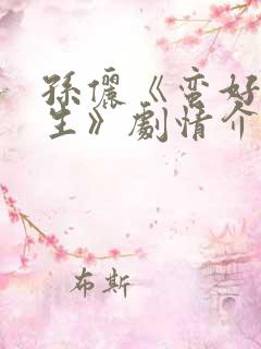 孙俪《蛮好的人生》剧情介绍