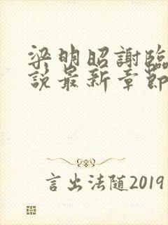 梁明昭谢临风小说最新章节