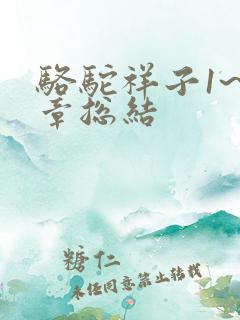 骆驼祥子1~4章总结