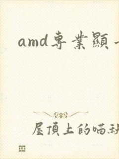 amd专业显卡