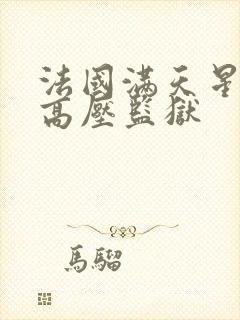 法国满天星电影高压监狱