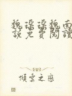 魏瑶瑶魏南星小说免费阅读最新章节