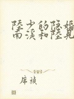 陆少的隐婚罪妻南溪和陆见深