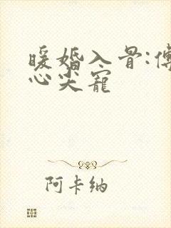 暖婚入骨:傅少心尖宠