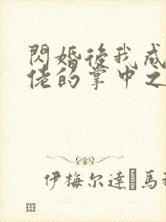 闪婚后我成了大佬的掌中之物6.9