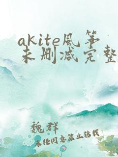 akite风筝未删减完整版