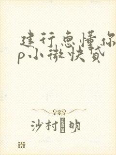 建行惠懂你app小微快贷