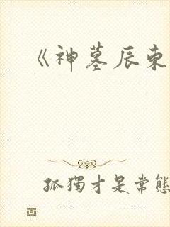 《神墓辰东》
