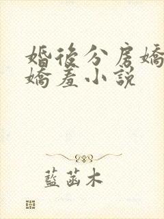 婚后分房娇夫别娇羞小说