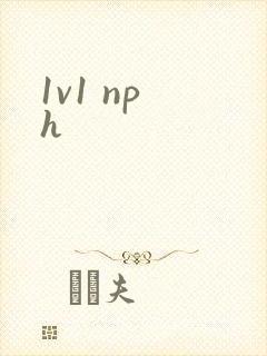 1v1 np h