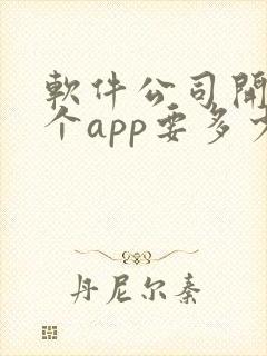 软件公司开发一个app要多少钱