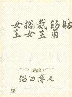 女总裁的贴身兵王女主角