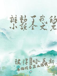 谁动了我的老婆小说全文免费阅读