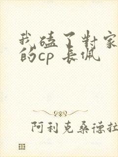 我磕了对家x我的cp 长佩