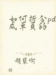 如何拆分pdf成单页的