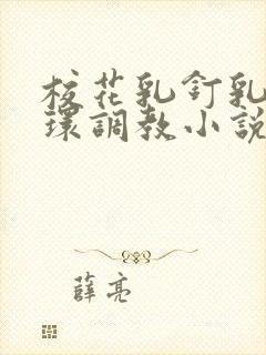 校花乳钉乳环蒂环调教小说h