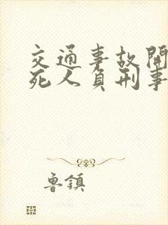 交通事故开车撞死人负刑事责任吗