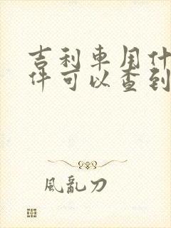 吉利车用什么软件可以查到车在哪里