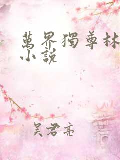 万界独尊林枫版小说