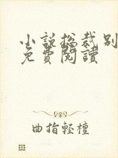 小说总裁别太坏免费阅读