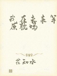 我在未来等你是原耽吗