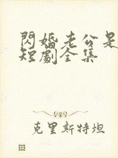 闪婚老公是豪门短剧全集