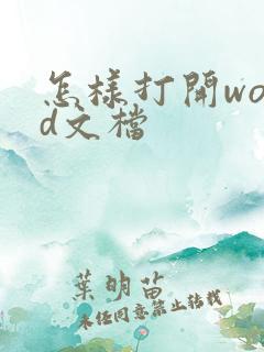 怎样打开word文档