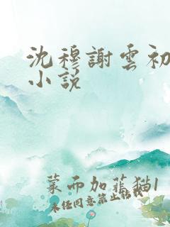 沈穆谢云初岑念小说