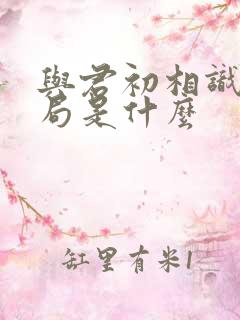 与君初相识大结局是什么