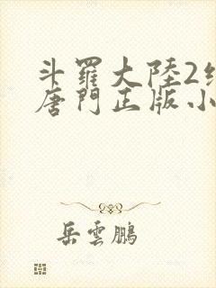 斗罗大陆2绝世唐门正版小说