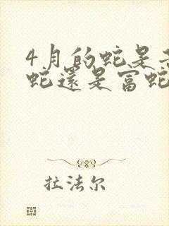 4月的蛇是苦命蛇还是富蛇