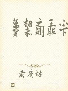 万相之王小说免费未删版下载