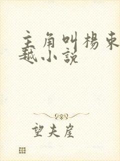 主角叫杨束的穿越小说