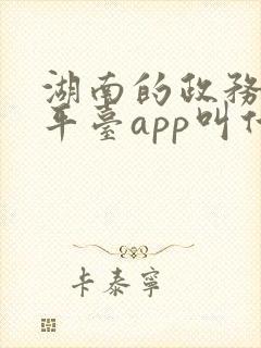 湖南的政务服务平台app叫什么