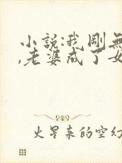 小说:我刚无敌,老婆成了女帝