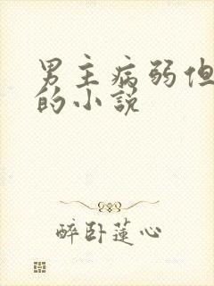 男主病弱但厉害的小说
