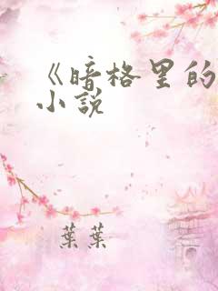 《暗格里的秘密小说