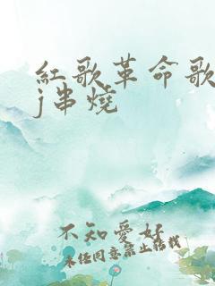 红歌革命歌曲dj串烧